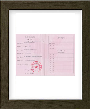劲辉·国税税务登记证