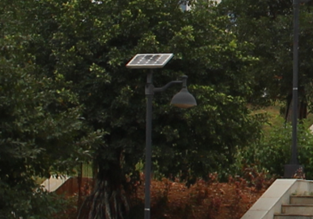 【案例】校园太阳能庭院灯照明工程